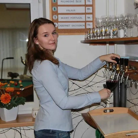 Vandrerhjem Bed & Breakfast Brno *